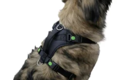 Harnais Pulsive noir pour chien taille XL - KERBL