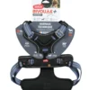 Harnais technique chien Bivouak taille XL bleu - Zolux
