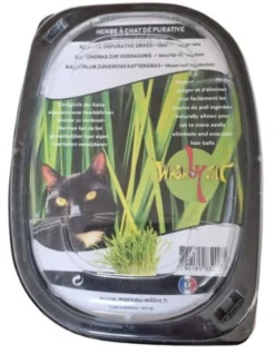 Herbe à chat dépurative 170g - WasaByCat
