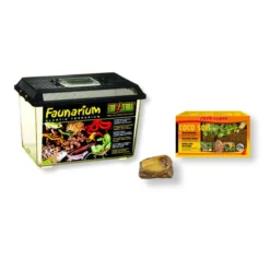 Insectarium kit pour insectes