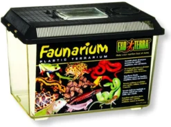 Insectarium kit pour insectes