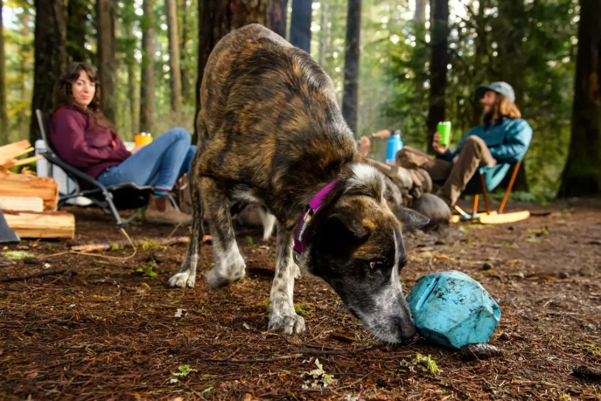 Jouet chien Gnawt-a-Rock™ en caoutchouc naturel Bleu – Ruffwear