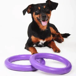 Jouet interactif pour chien Puller Mini x2 - Ferplast
