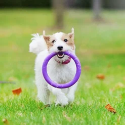 Jouet interactif pour chien Puller Mini x2 - Ferplast