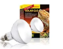 Kit accessoires pour gecko