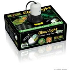 Kit accessoires pour gecko