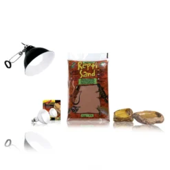 Kit accessoires pour gecko