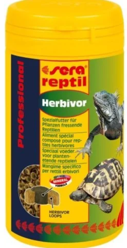 Kit accessoires pour tortue terrestre