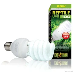 Kit accessoires pour tortue terrestre