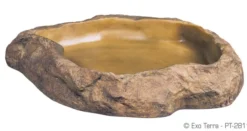 Kit accessoires pour tortue terrestre