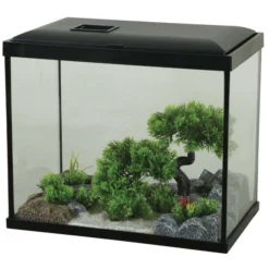 Kit aquarium poisson Initio 30cm noir et décor Landscape Tree - Zolux
