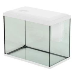 Kit aquarium poisson Initio 35cm blanc et décor Landscape Tree - Zolux