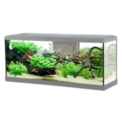 Kit aquarium poisson Tana LED 100 gris et meuble Iseo Tana 100 mélaminé gris - Zolux