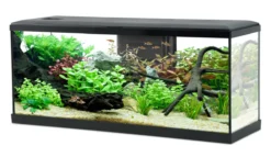 Kit aquarium poisson Tana LED 100 noir et meuble Iseo Tana 100 mélaminé noir - Zolux