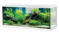 Kit aquarium poisson Tana LED 100 blanc et meuble Iseo Tana 100 mélaminé blanc - Zolux
