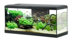 Kit aquarium poisson Tana LED 80 noir et meuble Iseo Tana 80 mélaminé noir - Zolux