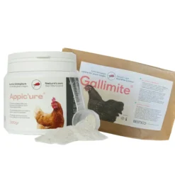 Kit soin anti poux gris poule Gallimite + Appic’ure - Bestico