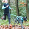 Laisse de traction Opale 1,9m Strong Bleu - I-Dog