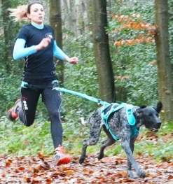 Laisse de traction Opale 1,9m Strong Bleu - I-Dog