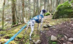 Laisse de traction Opale 1,9m Strong Bleu - I-Dog