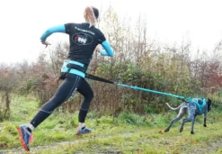 Laisse de traction Opale 1,9m Strong Bleu - I-Dog