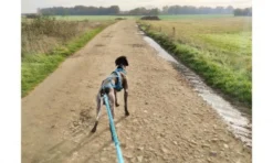 Laisse de traction Opale 1,9m Strong Bleu - I-Dog