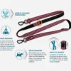 Laisse éducation chien Bivouak 2m bleue - Zolux