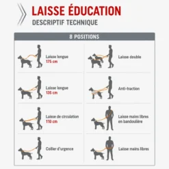 Laisse éducation chien Bivouak 2m bleue - Zolux