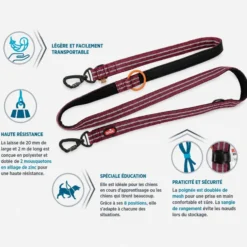 Laisse éducation chien Bivouak 2m rouge - Zolux