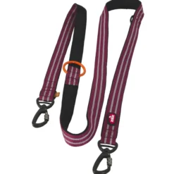 Laisse éducation chien Bivouak 2m rouge - Zolux