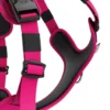 Laisse Ladder Combat et harnais Hurricane rose carmin taille L - BullyBillows