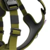 Laisse Ladder Combat et harnais Hurricane vert olive taille L - BullyBillows