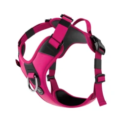 Laisse Ladder Combat et harnais Hurricane rose carmin taille M - BullyBillows