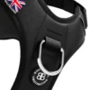 Laisse Ladder Combat et harnais Hurricane noir taille M - BullyBillows