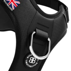 Laisse Ladder Combat et harnais Hurricane noir taille M - BullyBillows