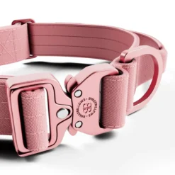 Laisse Lighter Swivel Combat et collier Lighter Combat Collar 4cm rose taille M - BullyBillows