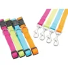 Laisse Nylon 1 Mètre 25mm - Anis