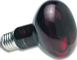 Lampe chauffante infrarouge nocturne 100W - Zoo Med