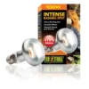 Lampe Intense Baskingspot 100W - Exo Terra