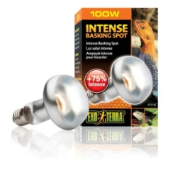 Lampe Intense Baskingspot 100W - Exo Terra
