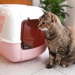 Maison de toilette chat plastique recyclé Prima Decor rose - Ferplast