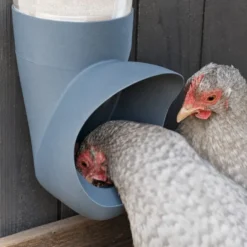 Mangeoire anti gaspillage pour poule 3,5L transparente - Cocobol