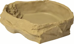 Mangeoire et Abreuvoir Reptil Food/Water Dish L - Sera