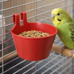 Mangeoire oiseaux en plastique avec crochets rouge - Gaun