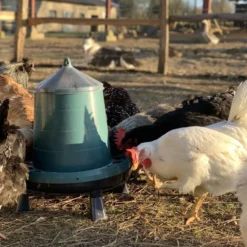 Mangeoire poule en plastique recyclé Eco 8Kg avec pieds
