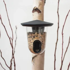 Mangeoire pour oiseaux sauvages en verre et plastique recyclé Fauna Feedr - Gaun