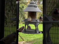 Mangeoire pour oiseaux sauvages modulable Céleste avec module abreuvoir vert de gris - Evena