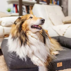 Matelas orthopédique pour chien Memor-One taille L - Ferplast