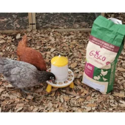 Mélange poule pondeuse Bio 8 kg - Gasco