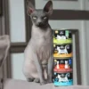 Mousse à la truite chat 200g - Petite Balade